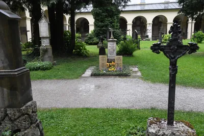 DSC_6100 (Large).JPG